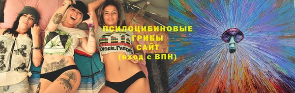 тгк Абдулино
