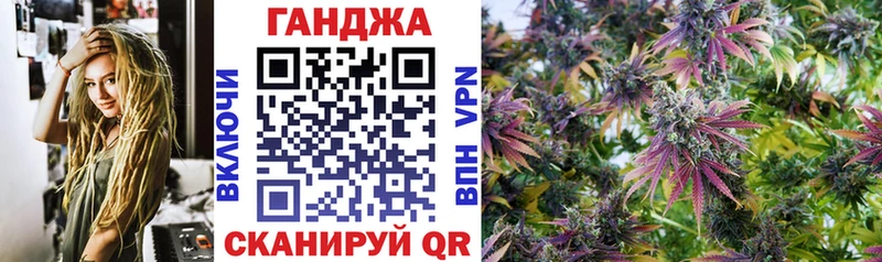 Конопля AK-47  как найти закладки  Кадников 